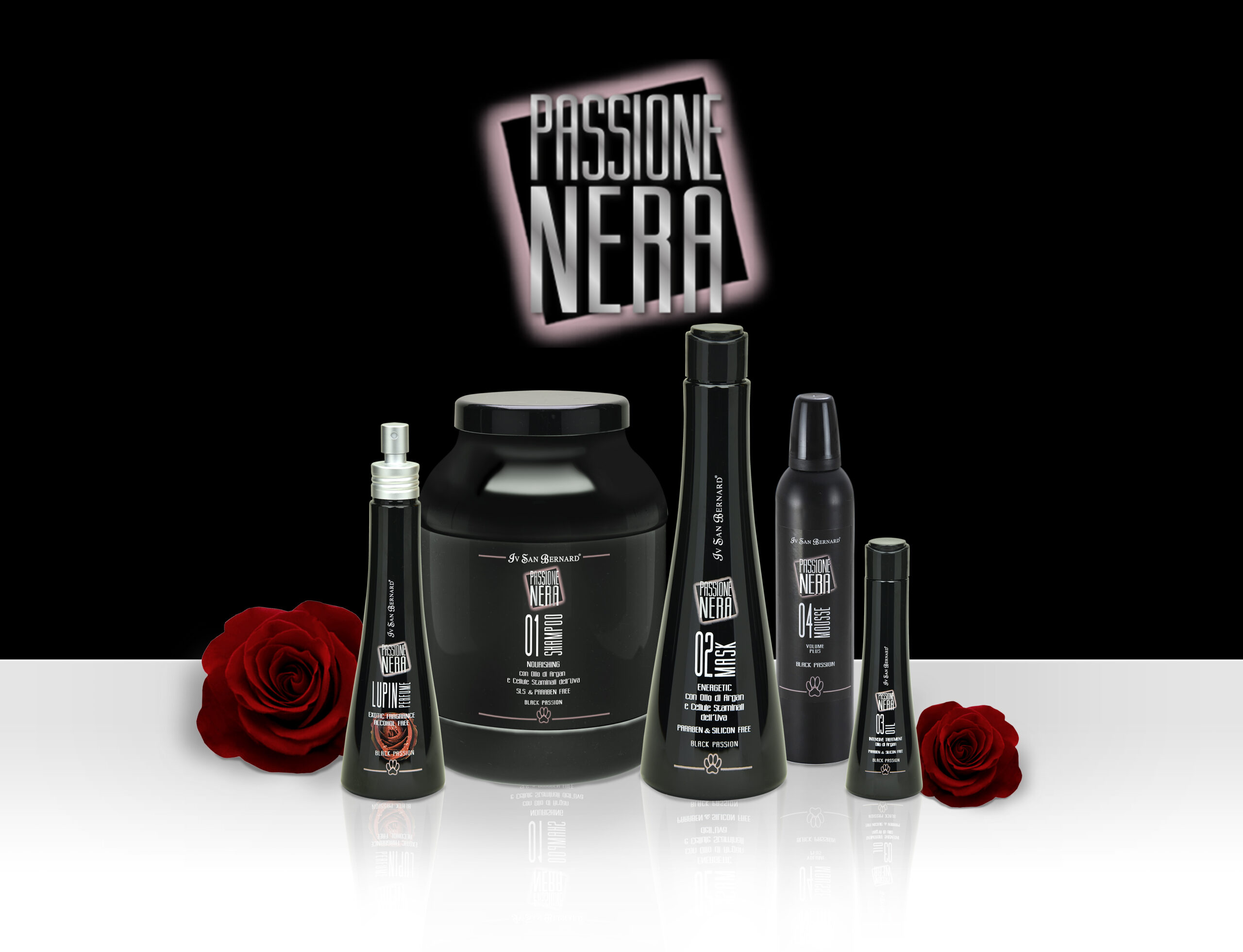 Iv San Bernard - Passione Nera