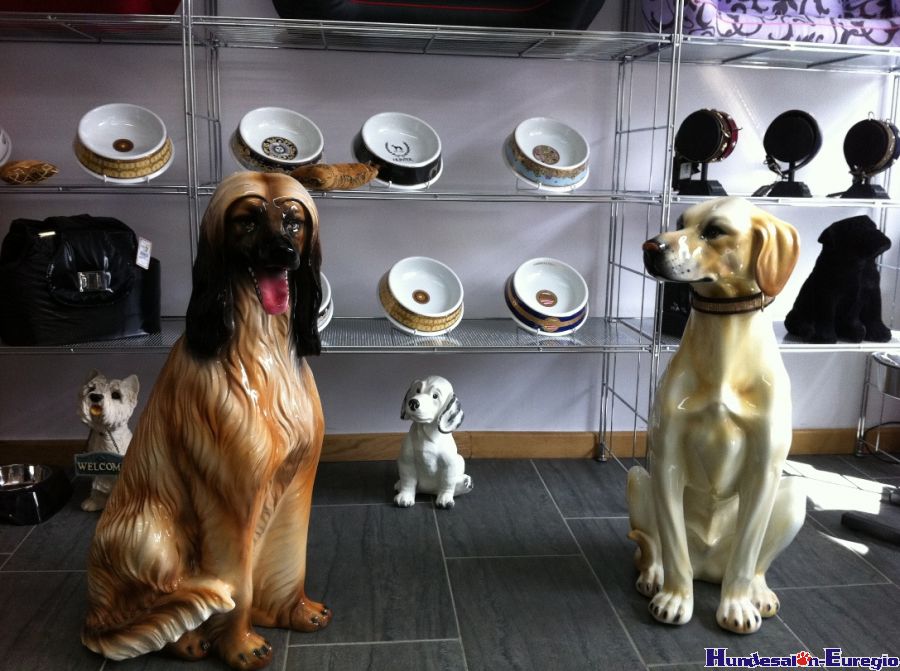 img_1334756677_742_lg