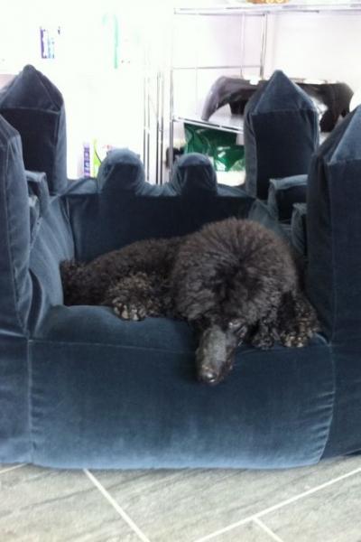 Salon Euregio Salon 2