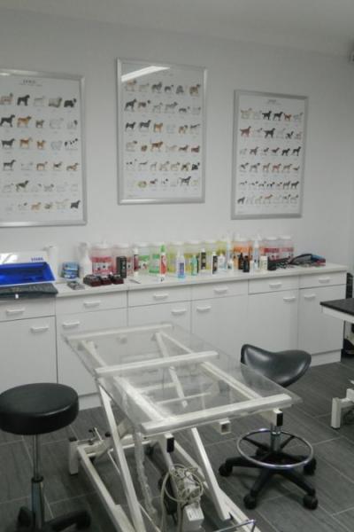 Salon Euregio Schneiden 2